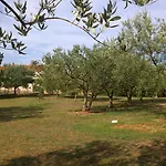 Free Parking Big Garden Lejlighed Peroj