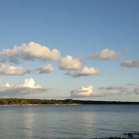 Apartments Free Parking Big Garden *