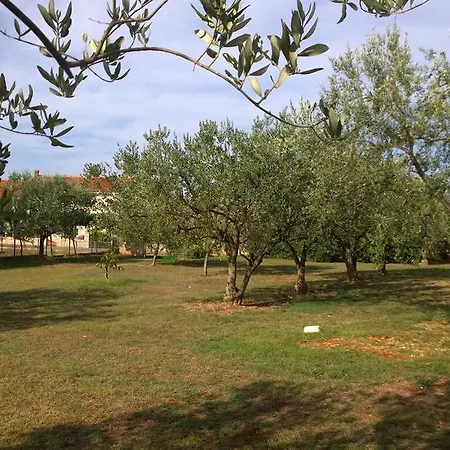 Apartments Free Parking Big Garden Apartment Peroj