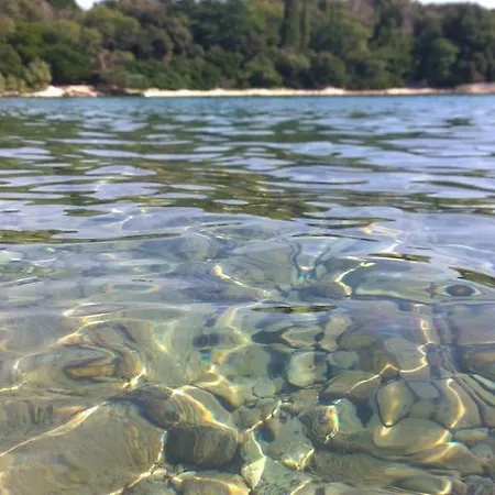 Apartment Apartments Free Parking Big Garden *