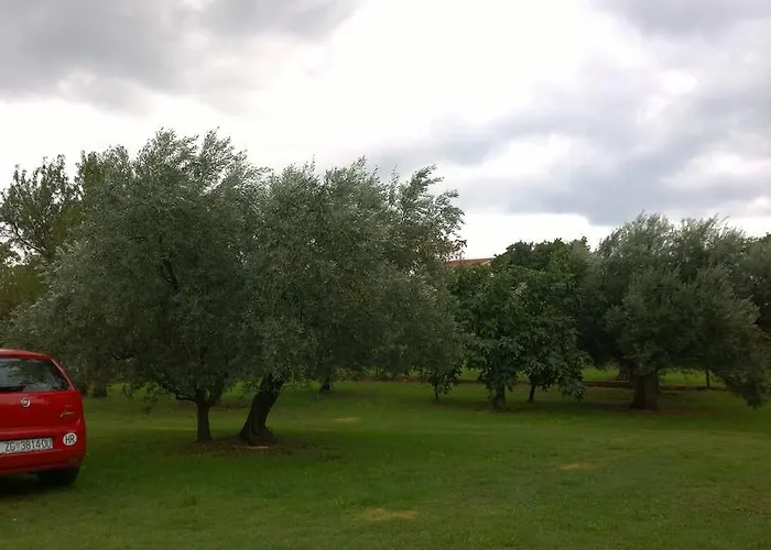 Free Parking Big Garden